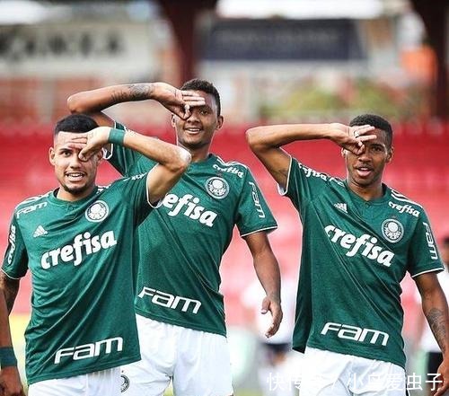 企已经投入 企已经投入