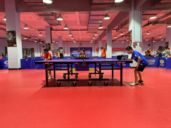 有观赏性 有观赏性